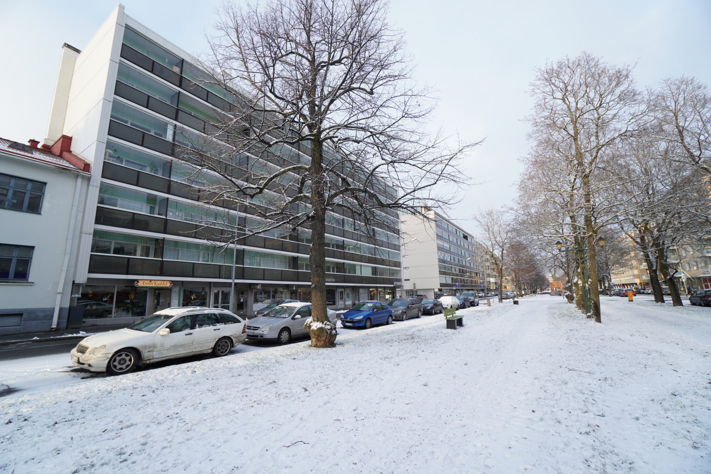 Eteläpuisto 13 – kuva 19
