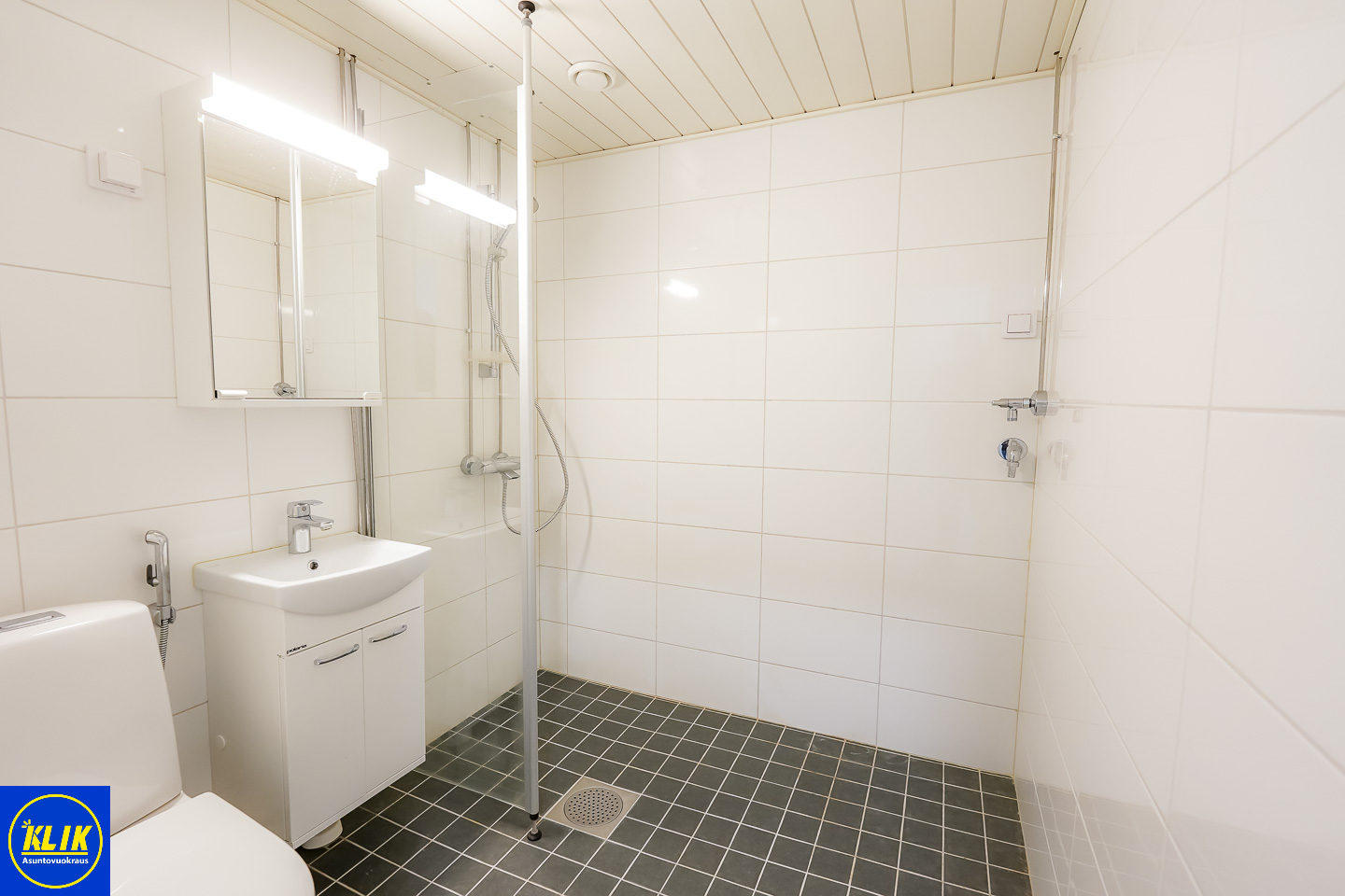Visatie 5 – kuva 10