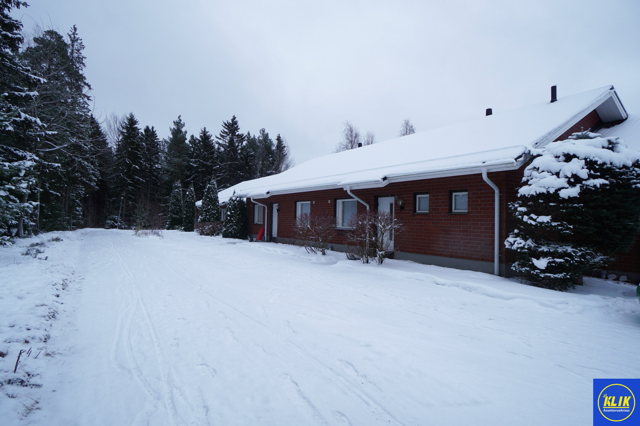 Jäkälävahe 7 – kuva 20