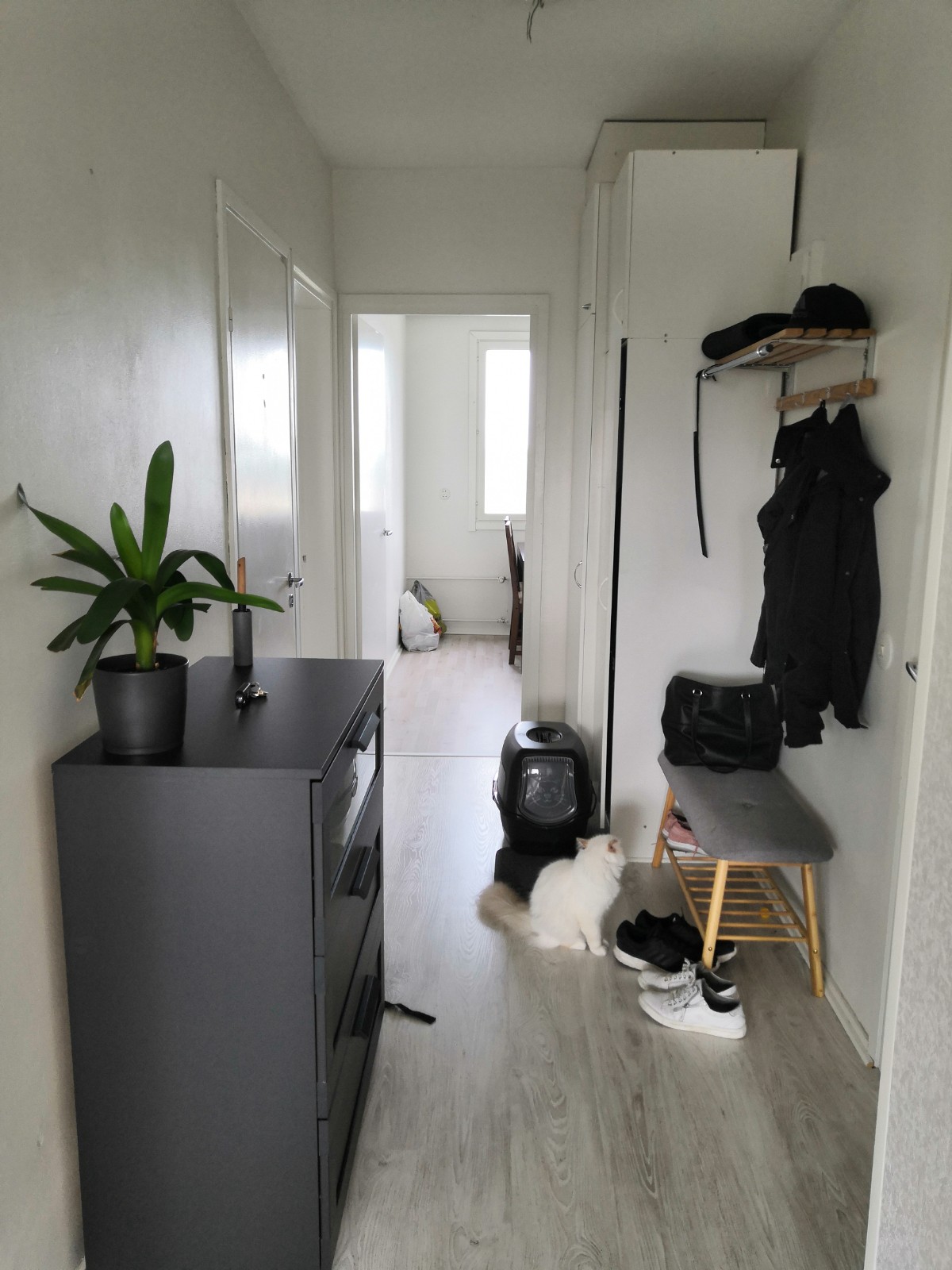 Visatie 5 – kuva 8